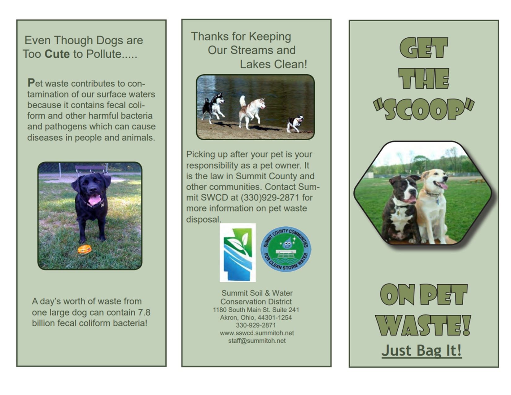 DOG BROCHURE PG 1