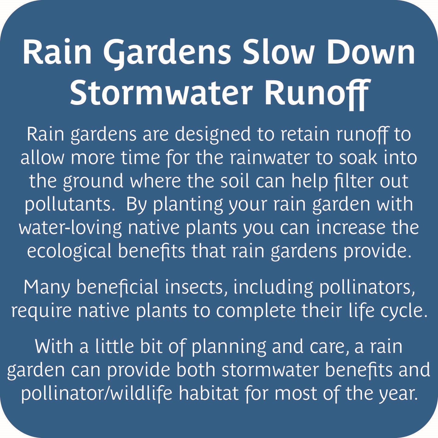 2023_2024 BACKYARD CONSERVATION social media graphics16